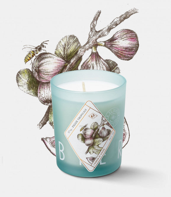 Candle Figue Tropicale Keboufibahe Figue-Tropicale